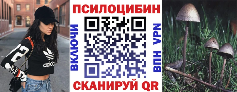 Псилоцибиновые грибы Psilocybine cubensis Сельцо